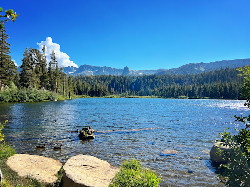 Twin Lakes Forest Chapel - Thumbnail