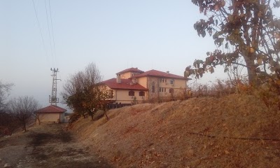 Photos of Chateau Hotel Trendafiloff