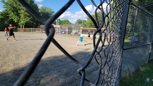 Natick Fields - Visual