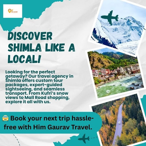 ✨ Discover Shimla Like a Local with Him Gaurav Travel! post image
