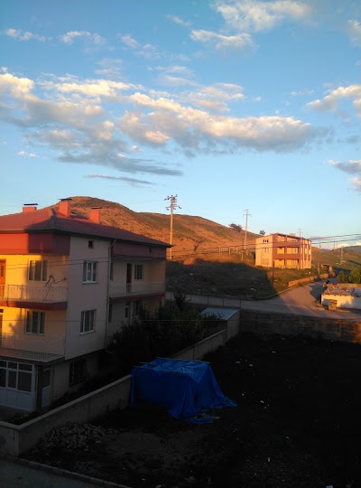 Photos of Vali Gazi Şimşek Hatıra Ormanı