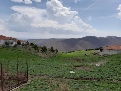 Balkay Alabalık Lokantası