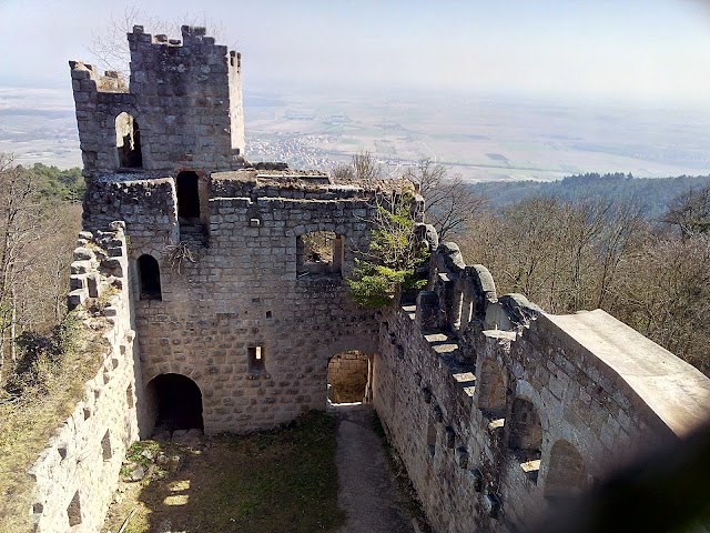 Château du Bernstein