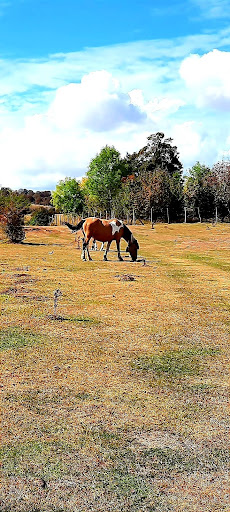 Párking Ñegaode - Visual
