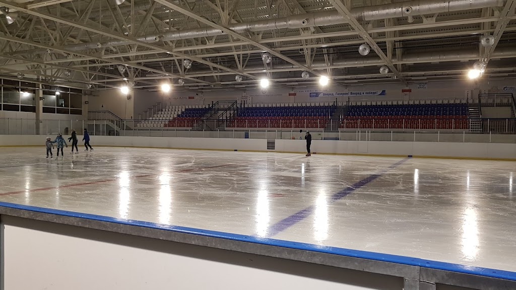 МАУ сок сияние севера Печора. КСК сияние севера Салым. МАУ сок Горняк Ковдор +логотип. Питание когалым