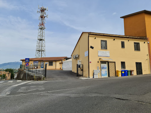 Clinical Analysis Forano