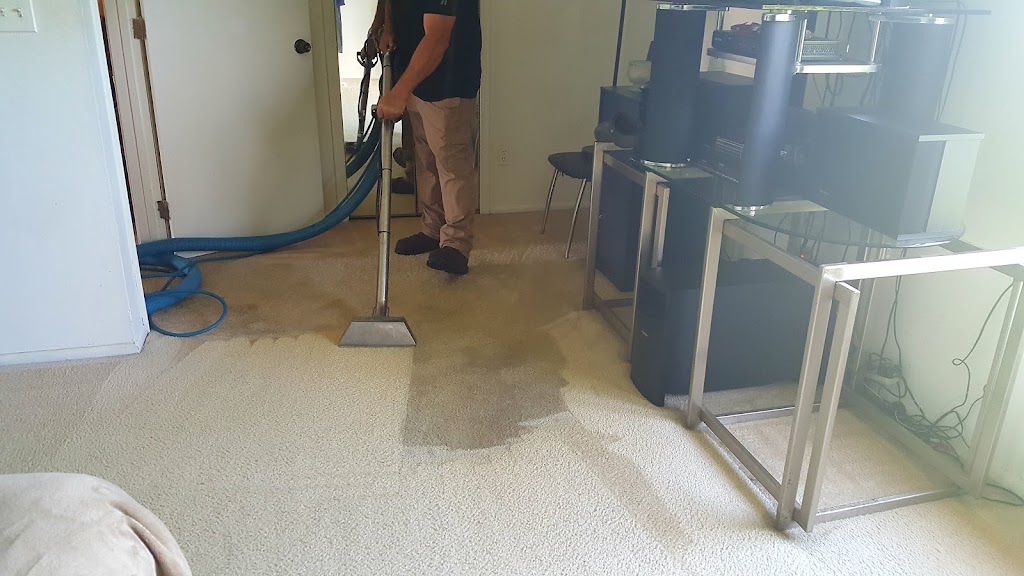 MOLD OR US photo