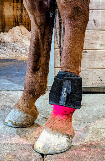 Soaring Horse Holistic Equine Therapy - Thumbnail