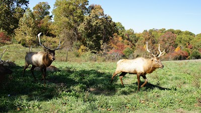 Dogwood Canyon