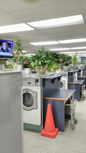 National Coin Laundry And Cleaners - Thumbnail