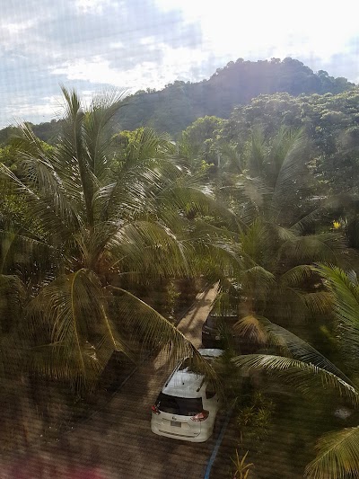 Photos of Palmazul Hotel & Spa