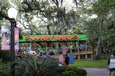 Ladybug Roller Coaster