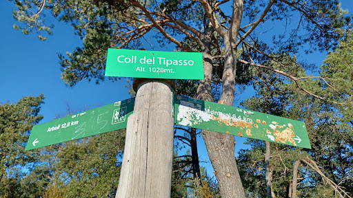 Colina del Tipasso - Thumbnail