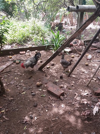 Photos of Asadero Charito
