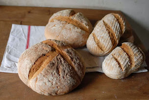 Photo n°22 de Ferme du Bec Hellouin - Ecole de Permaculture du Bec Hellouin à Le Bec-Hellouin (Centre de formation)