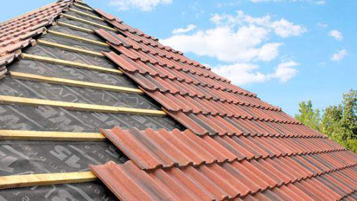 Euroseal Roofing & Building Logo