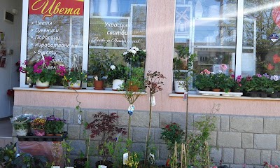 Photos of Technomarket Karlovo