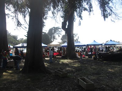 Photos of Cancha El Peral y Bosque de Alerces.