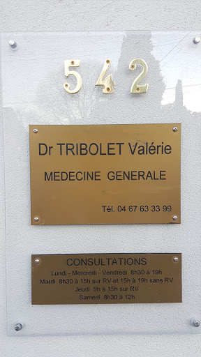 Tribolet Moussavi Valerie - Thumbnail