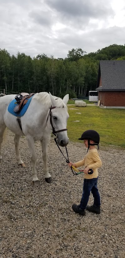 High Meadows Farms, Wolfeboro (Summer Location), New Hampshire