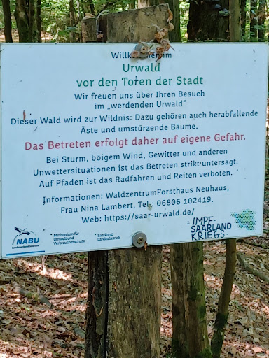 Hölzerbachtal - Visual
