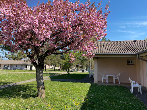 Photo de Ternélia - Le Pré du Lac