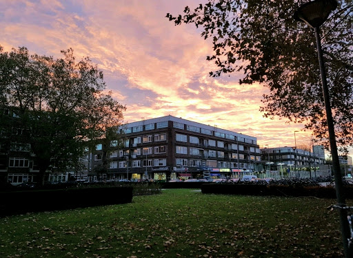 Park Statenweg - Thumbnail