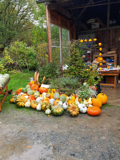 Mon Marché Bio - Thumbnail