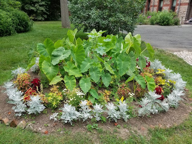 The Mark Twain House & Museum