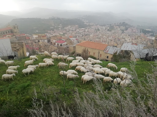 Kasakarma - Visual