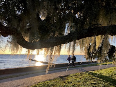 Mandeville Beach