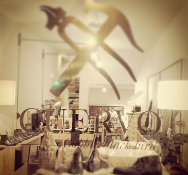Cuervo Cobblerblack Bird
