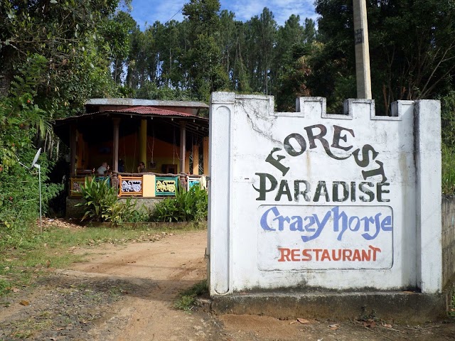 Forest Paradise Guest Home and Restaurant