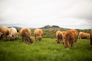 Photo n°10 de Ferme du Causse à Le Caylar (Agriculteur)