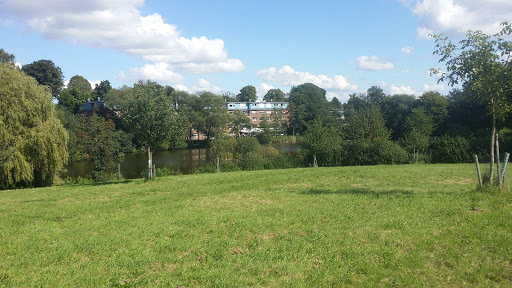 Travestadion - Thumbnail