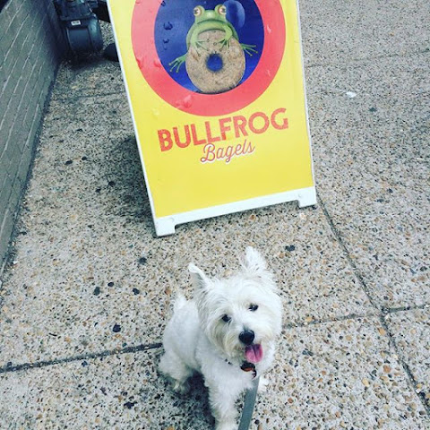 Bullfrog Bagels by null