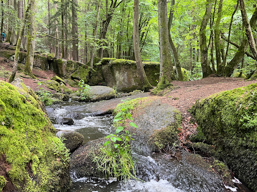 Hölle Nature Reserve