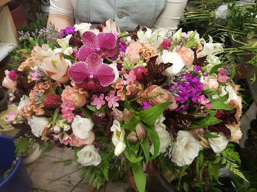Aviv Flowers - Thumbnail