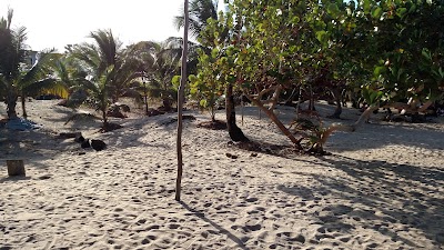 Photos of Castillo's Beach