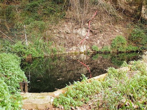 Font de Can Pelags