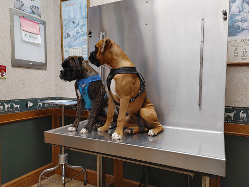 Southland Animal Hospital - Thumbnail