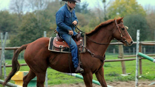 Equestrian Center De La Meilleraie