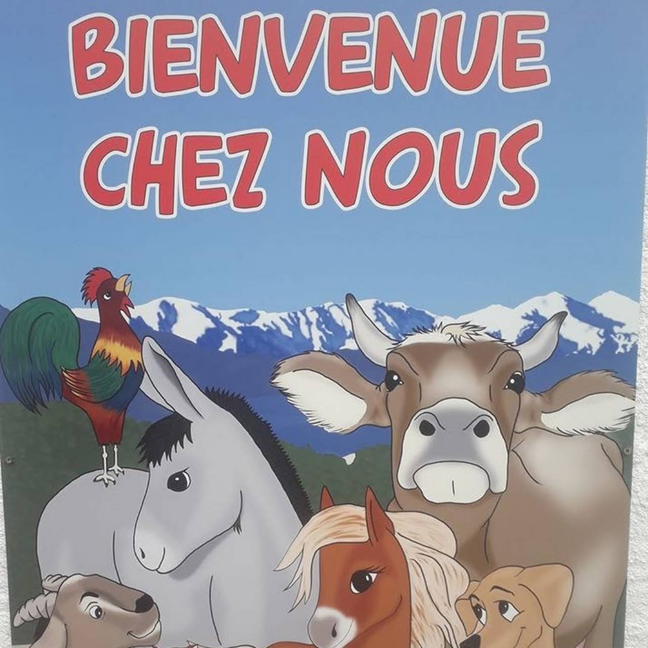 Marina Un Refuge Pour Ceret Association Pour La Protection Des Animaux A Ceret Pendant Travaux Ouvert Sur Rdv