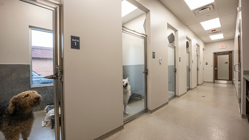 Lakeview Pet Hospital - Thumbnail