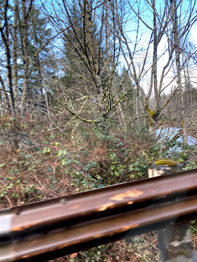 Mountain Community Garden - Thumbnail