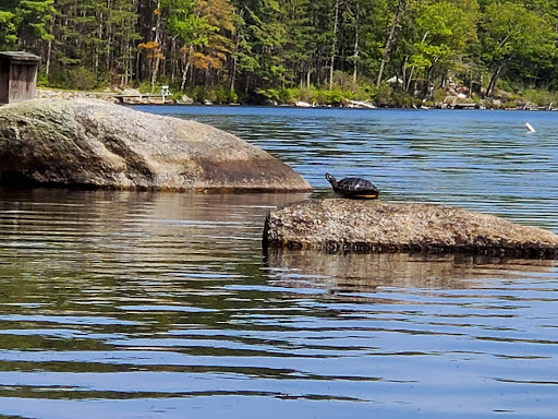 Erving State Forest - Visual