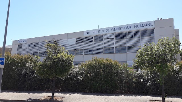 Institut de Génétique Humaine