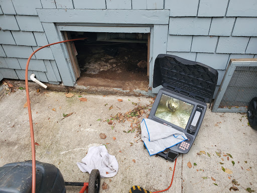 Rootless Drains - Visual