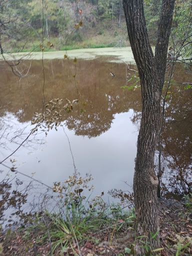 Rocky Ridge Resort LLC - Thumbnail
