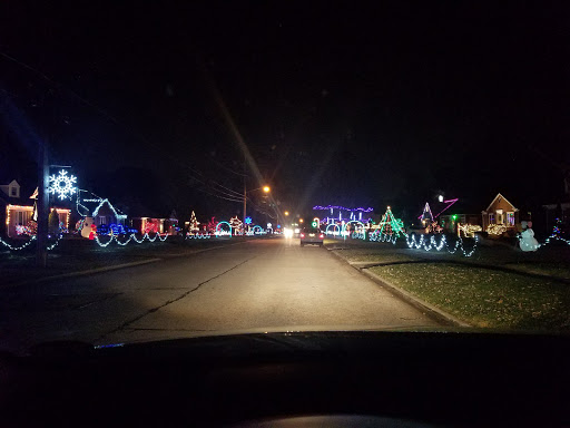 Morton Park - Visual